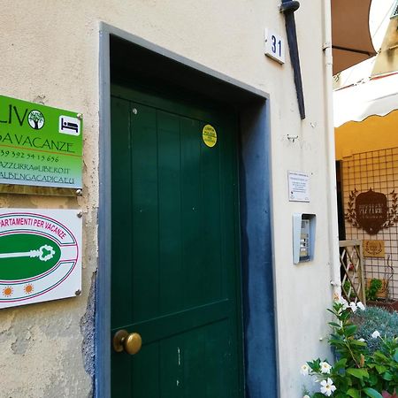 Casa Vacanza L'Ulivo Albenga Exteriér fotografie